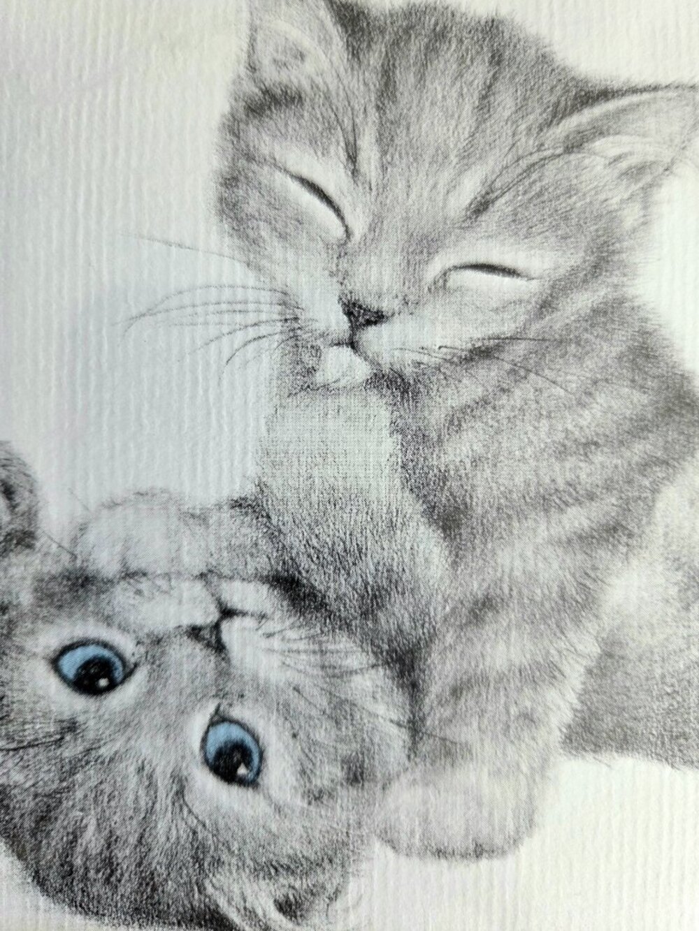 Signed by Virginia Miller Framed Art. Playing Kittens Portrait.